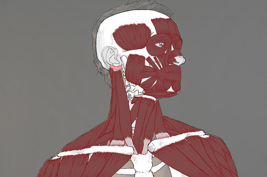 Rendered in Photoshop