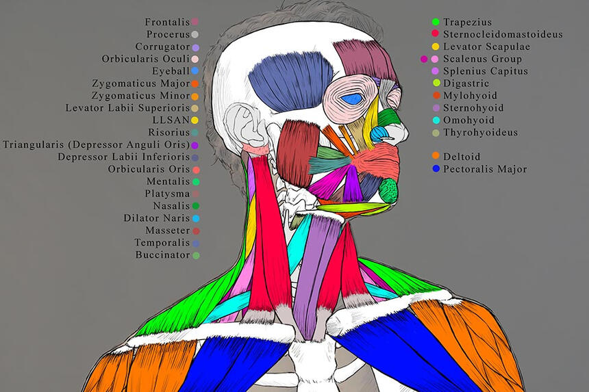 Rendered in Photoshop