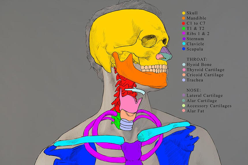 Rendered in Photoshop